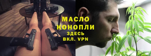 индика Белоозёрский