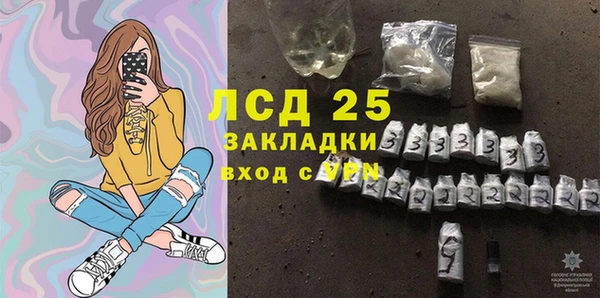 индика Белоозёрский