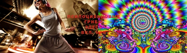 спиды Белокуриха