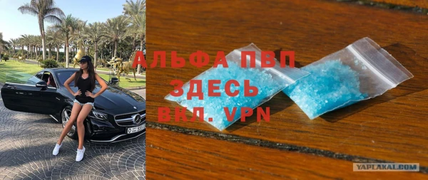 индика Белоозёрский