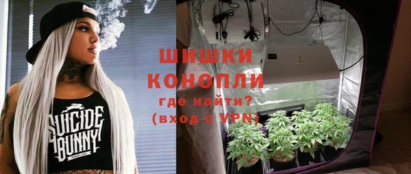индика Белоозёрский