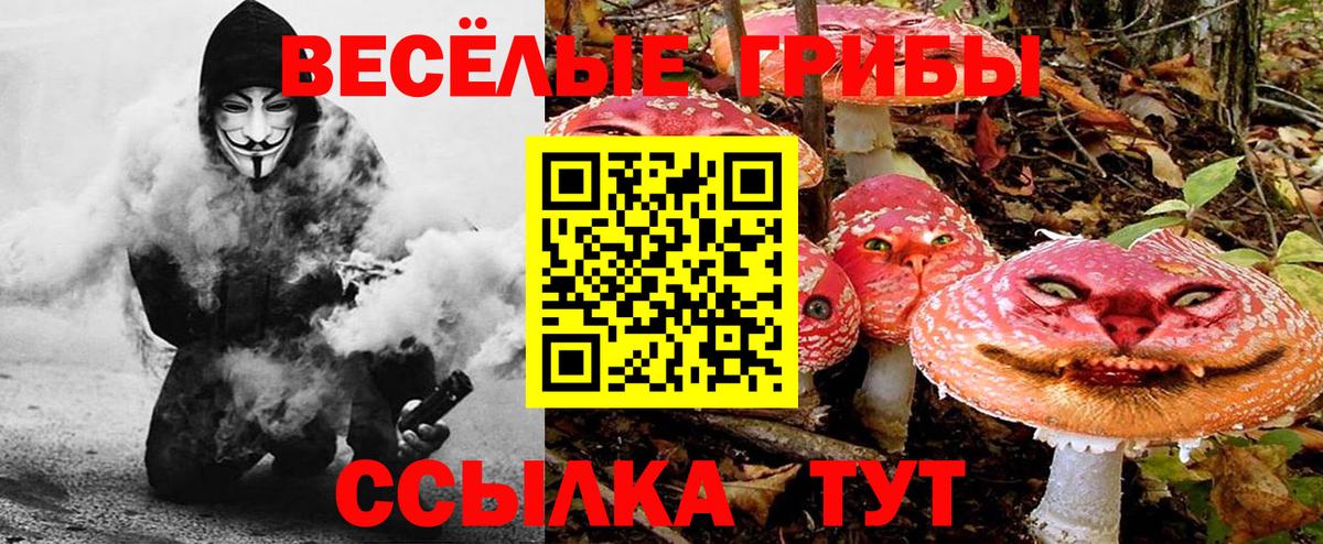 Псилоцибиновые грибы GOLDEN TEACHER  Вход с VPN  Славгород 
