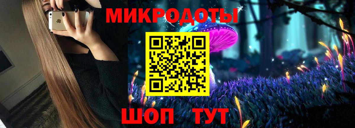 Галлюциногенные грибы Psilocybine cubensis Славгород