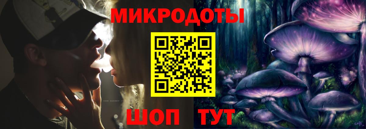 Славгород  Псилоцибиновые грибы Psilocybe  Вход с VPN 